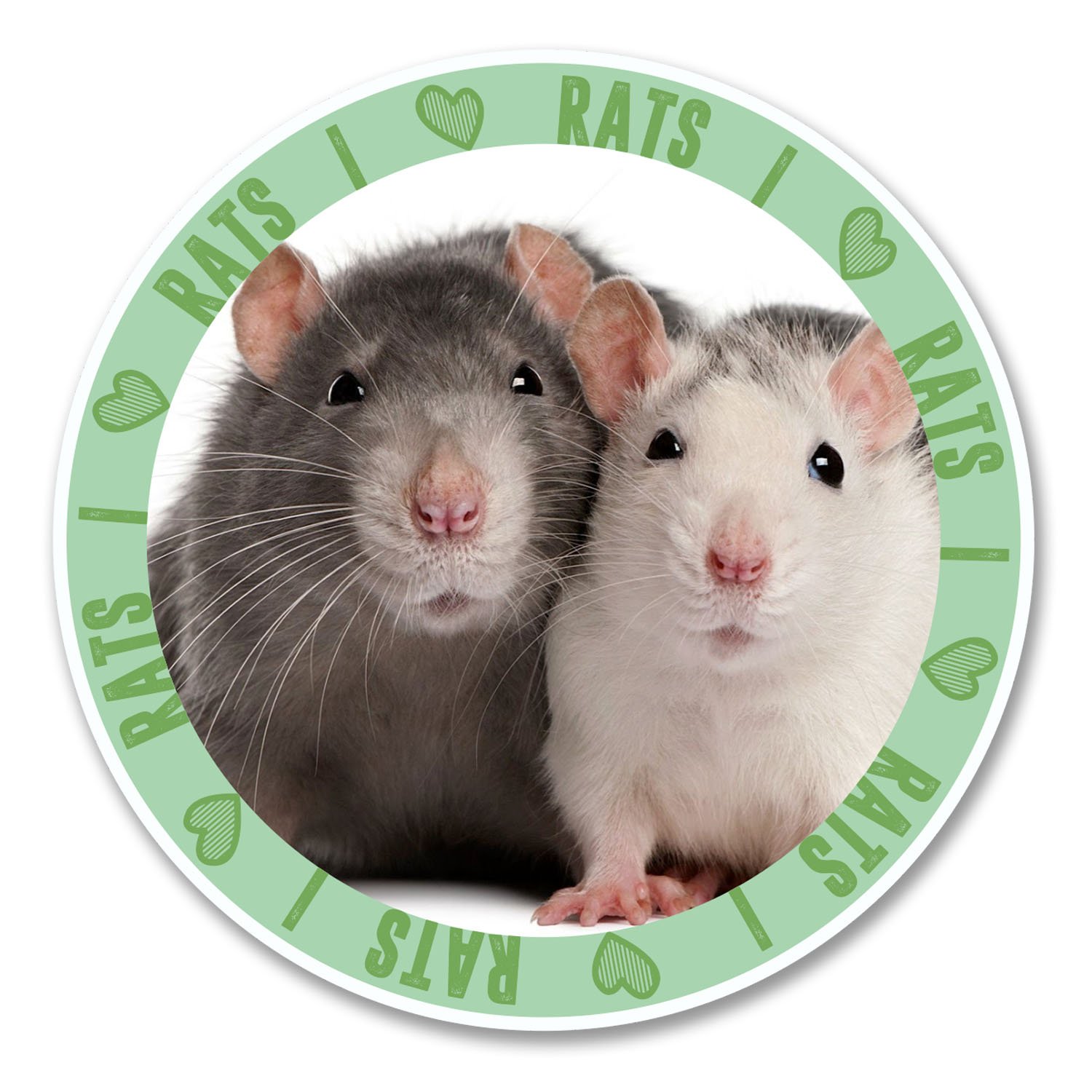 Destinationvinyl Multi 2 X 10Cm I Love Rats Vinyl Sticker Decal Laptop Tablet Helmet Animal Rat #6142 (10Cm X 10Cm)