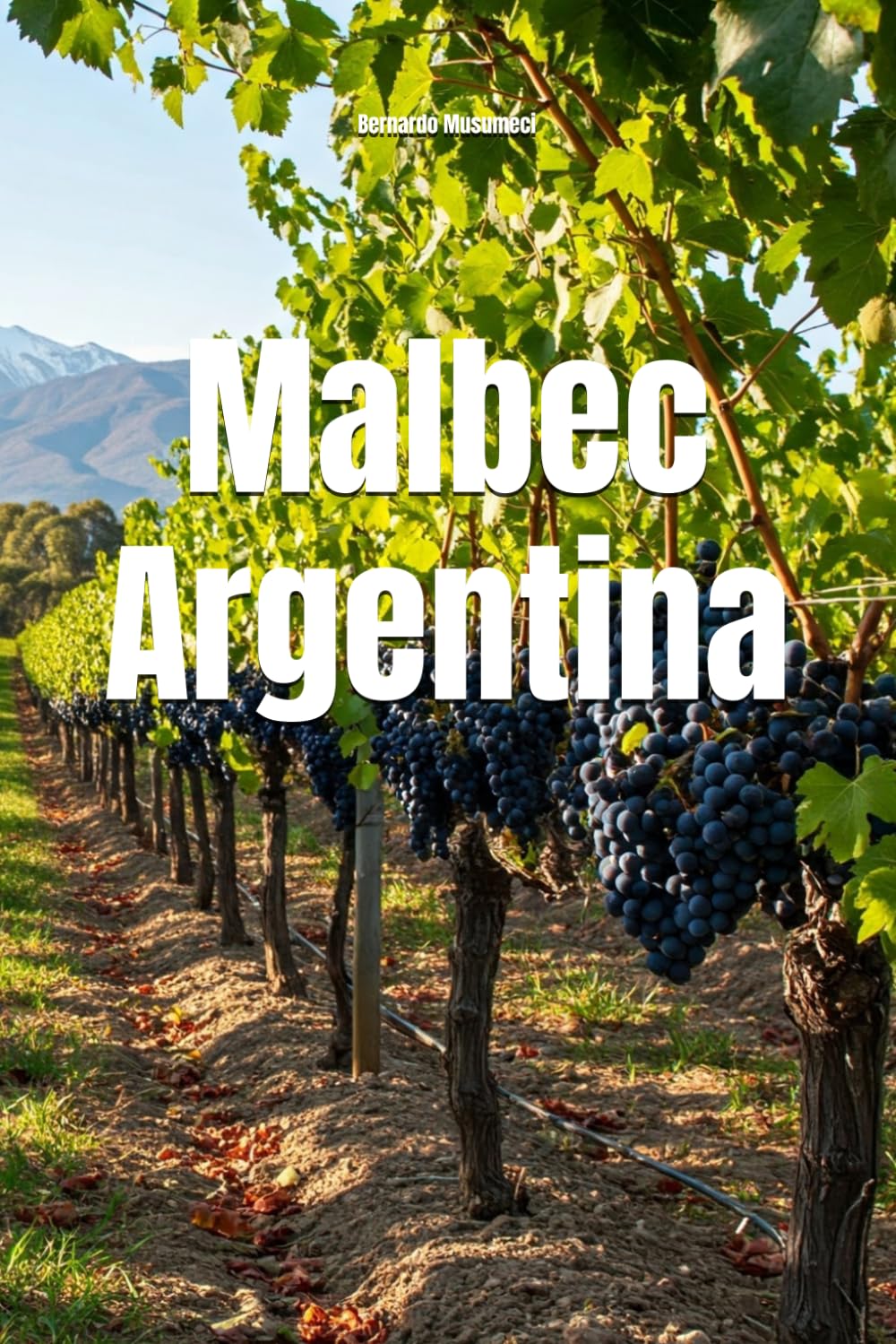 Malbec Argentina (Wines of the World: Argentina)