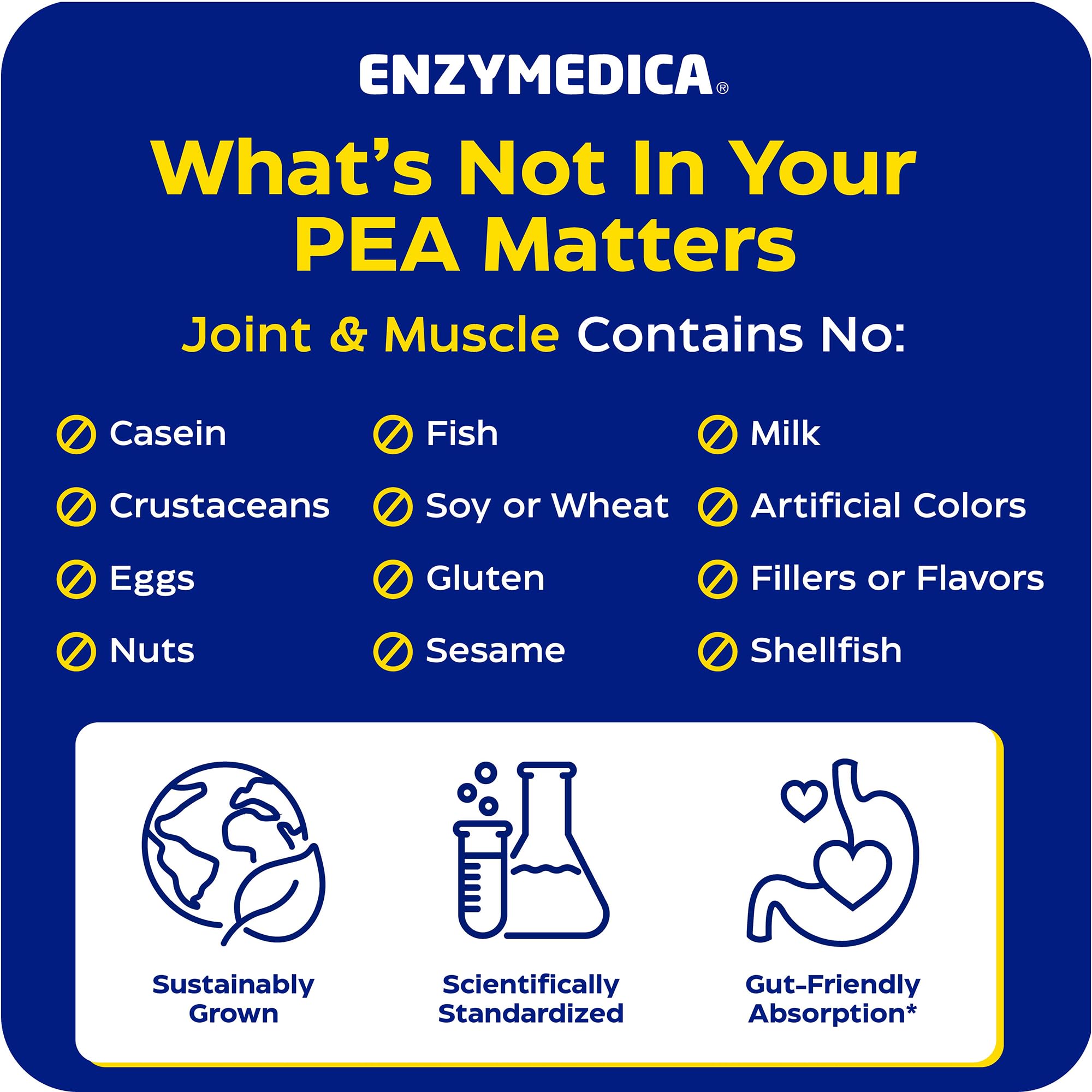 Enzymedica Joint & Muscle Pea Phytosome for Men & Women - 45 Capsules — Amazon image 8