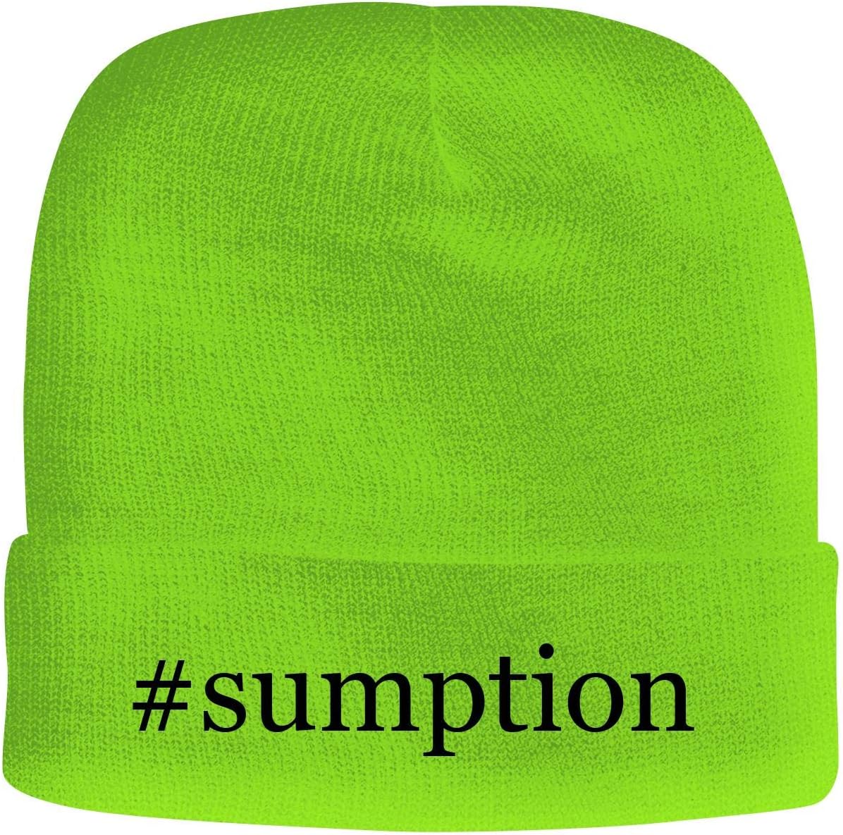 BH Cool Designs #Sumption - Men's Hashtag Soft & Comfortable Beanie Hat Cap