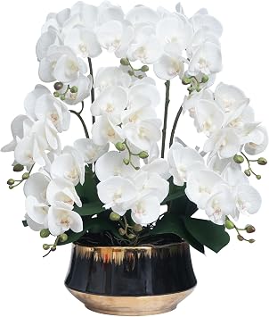 CXGS Orchids Artificial Flower Real Touch Faux Orchid in Large Ceramic Vase 23.6 Realistic White Fake Phalaenopsis Floral Arrangements Centerpiece Table Home Indoor Decor