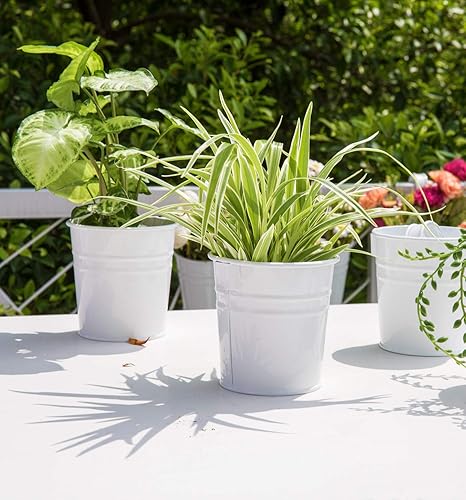 Miniatura 6 de Dahey Macetas colgantes de 4 pulgadas de metal y hierro para valla de barandilla, 10 unidades y 5 pulgadas, 3 paquetes de soporte para plantas de