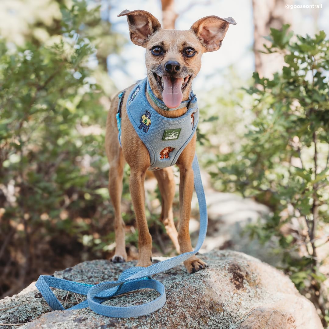 Lucy & Co. x Parks Project Adventures with Friends Guinzaglio per cani, S