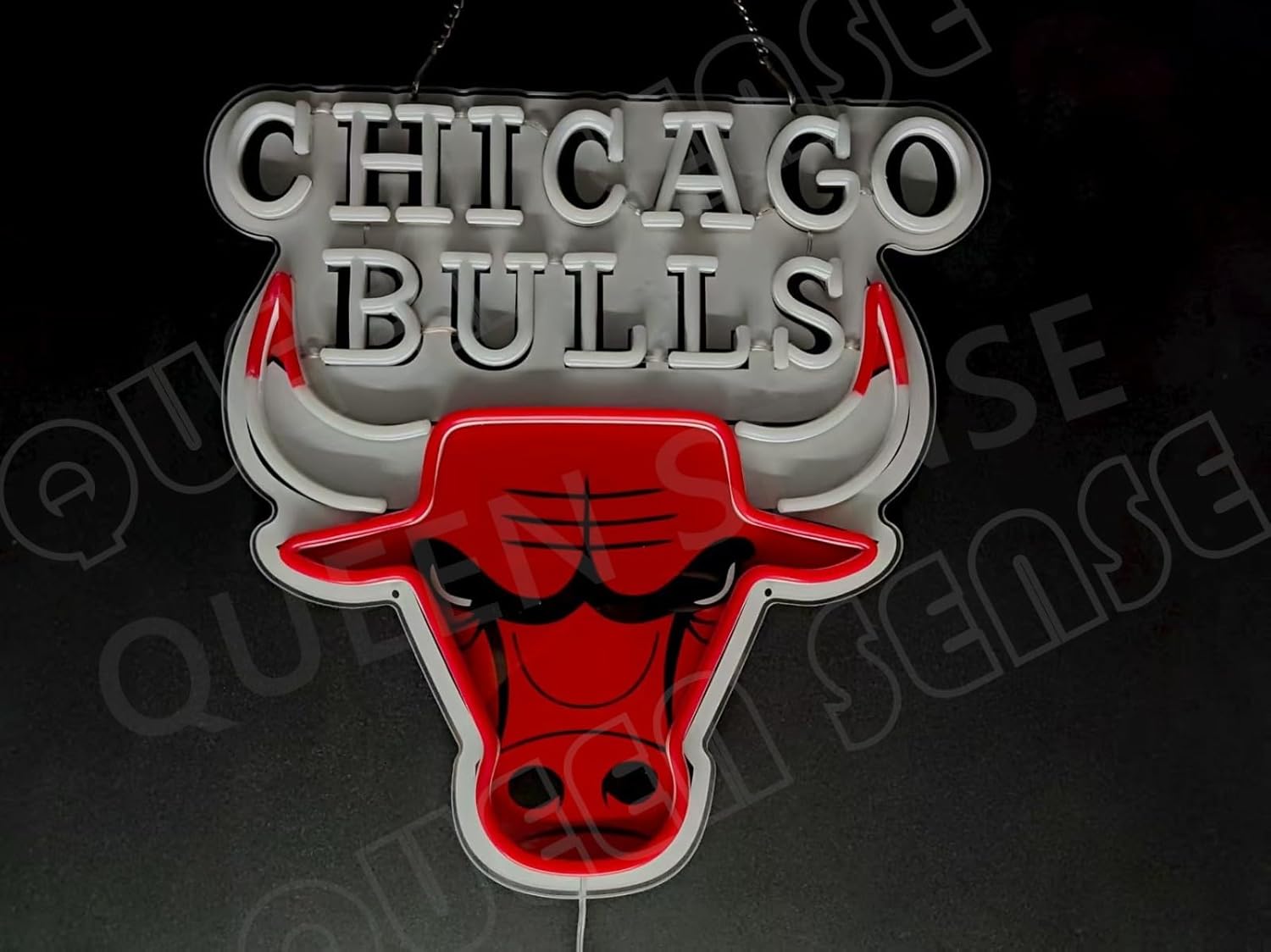 Queen Sense 16"x16" for Chicago Sports Bull LED Neon Sign for Wall Decor USB Powered Dimmable Neon Light BH1370