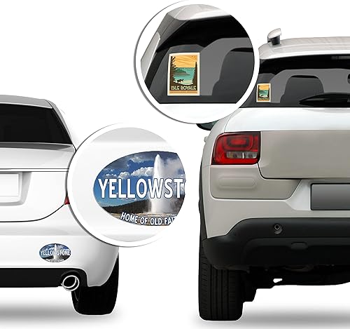 Pegatina seca en forma de punta de flecha del parque nacional Tortuga (rv Camp Hike Florida)