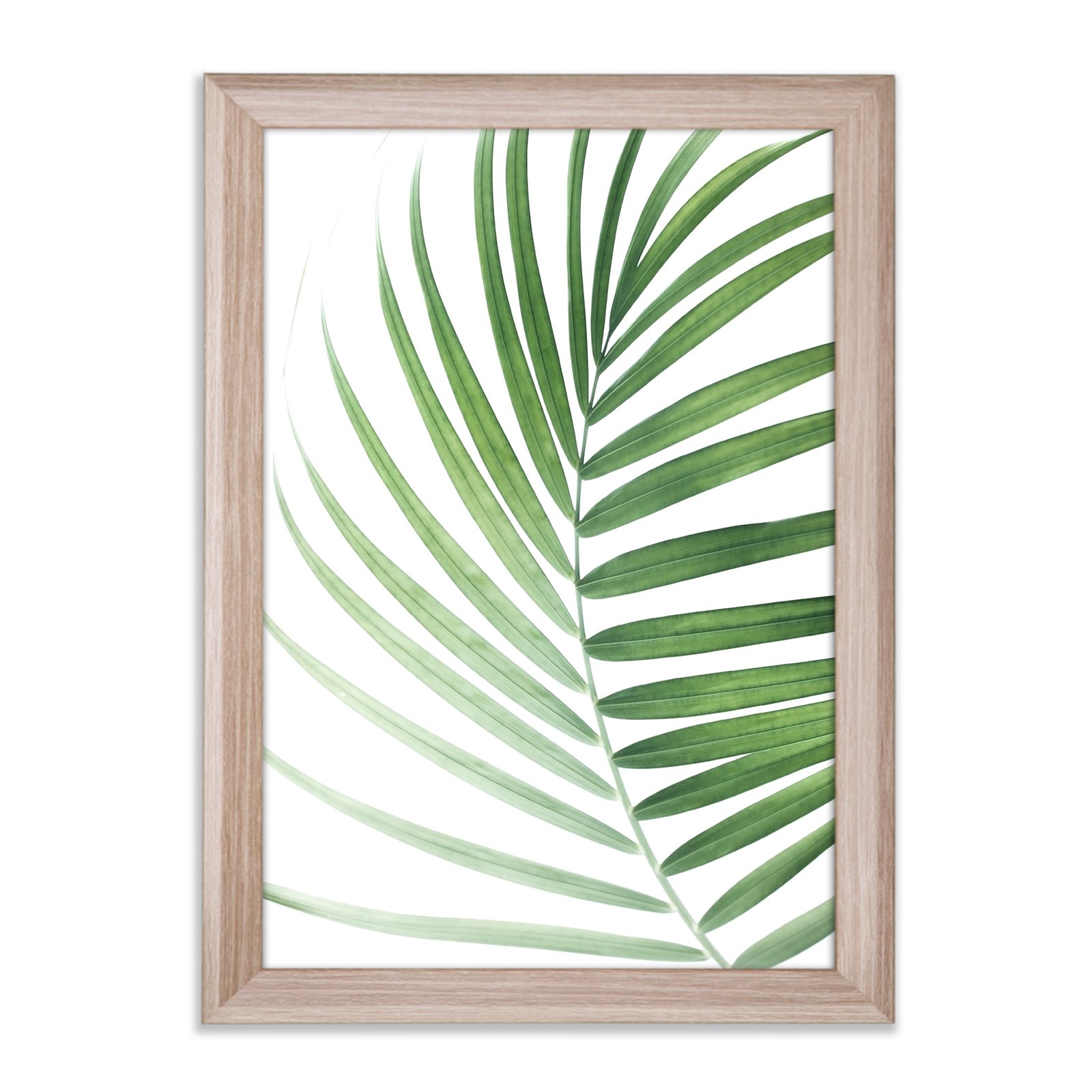 PRIO - Lámina de palmera (60 x 80 cm, con marco de fotos, roble sonoma, decoración)