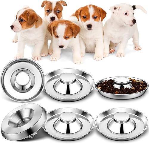 6 cuencos de acero inoxidable para cachorros de 10.2 pulgadas, comedero para cachorros, cuencos pequeños para perros y cachorros, cuencos de agua