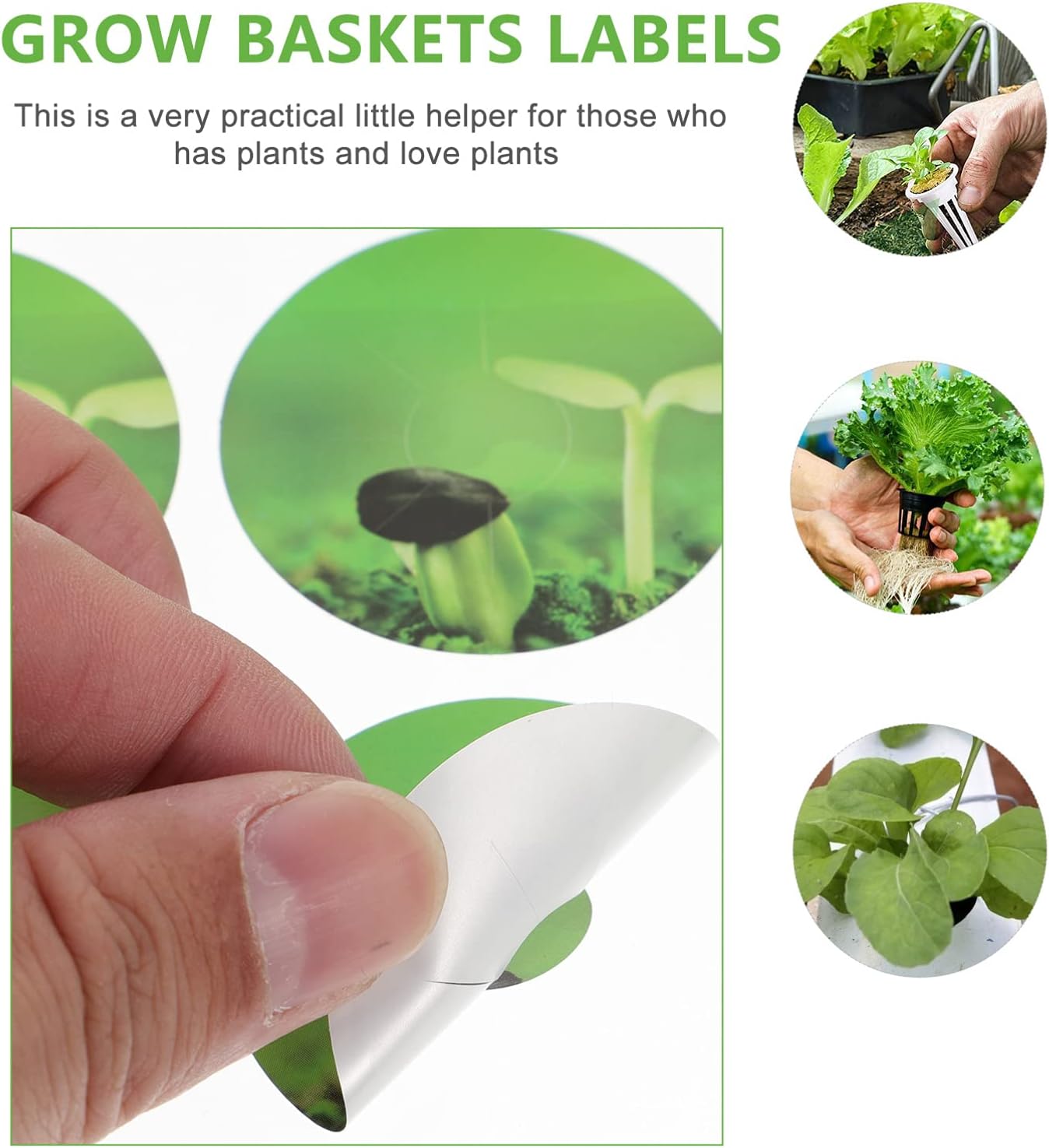 generic 2 Boxes Labels Peel and Stick Grow Baskets Labels Hydroponic Garden Accessories Works on All Aerogarden Green 5R567023105O0O2FZX3Q 4.3X4.3CM