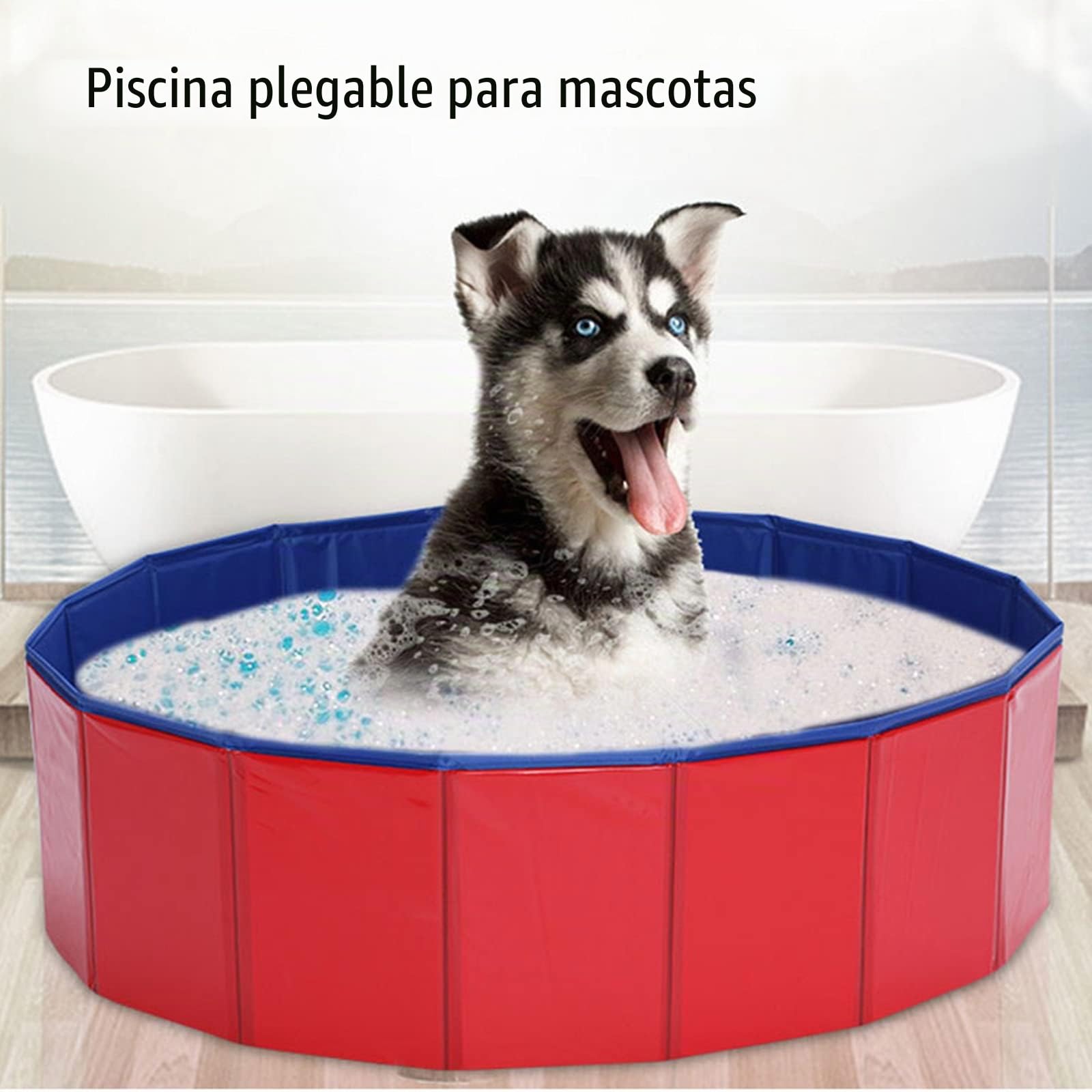 Piscina plegable para perros, PVC respetuoso con el medio ambiente, antideslizante, con válvula de drenaje, para verano, de 50 x 8 cm