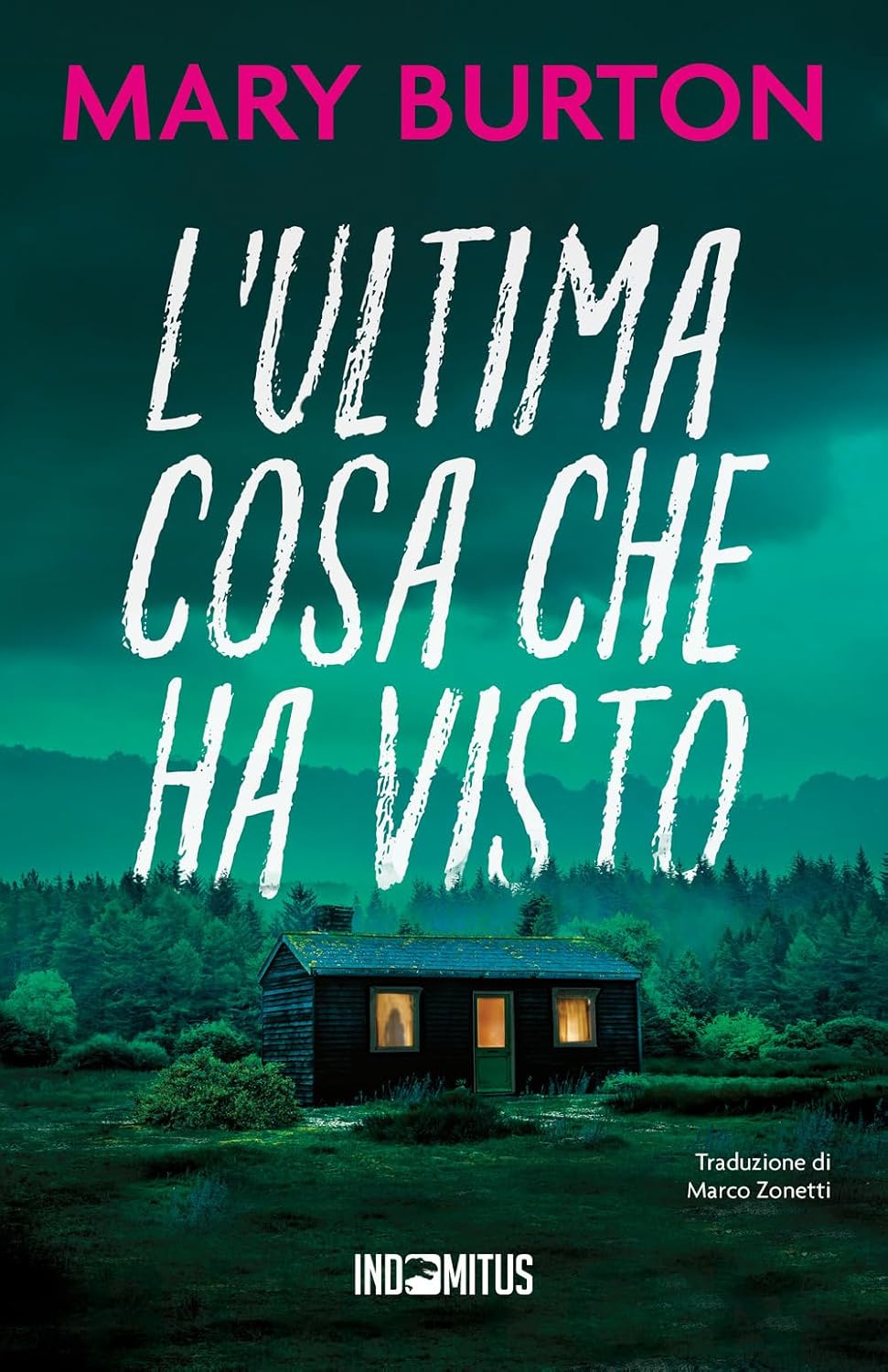 L'ultima cosa che ha visto (Italian Edition)