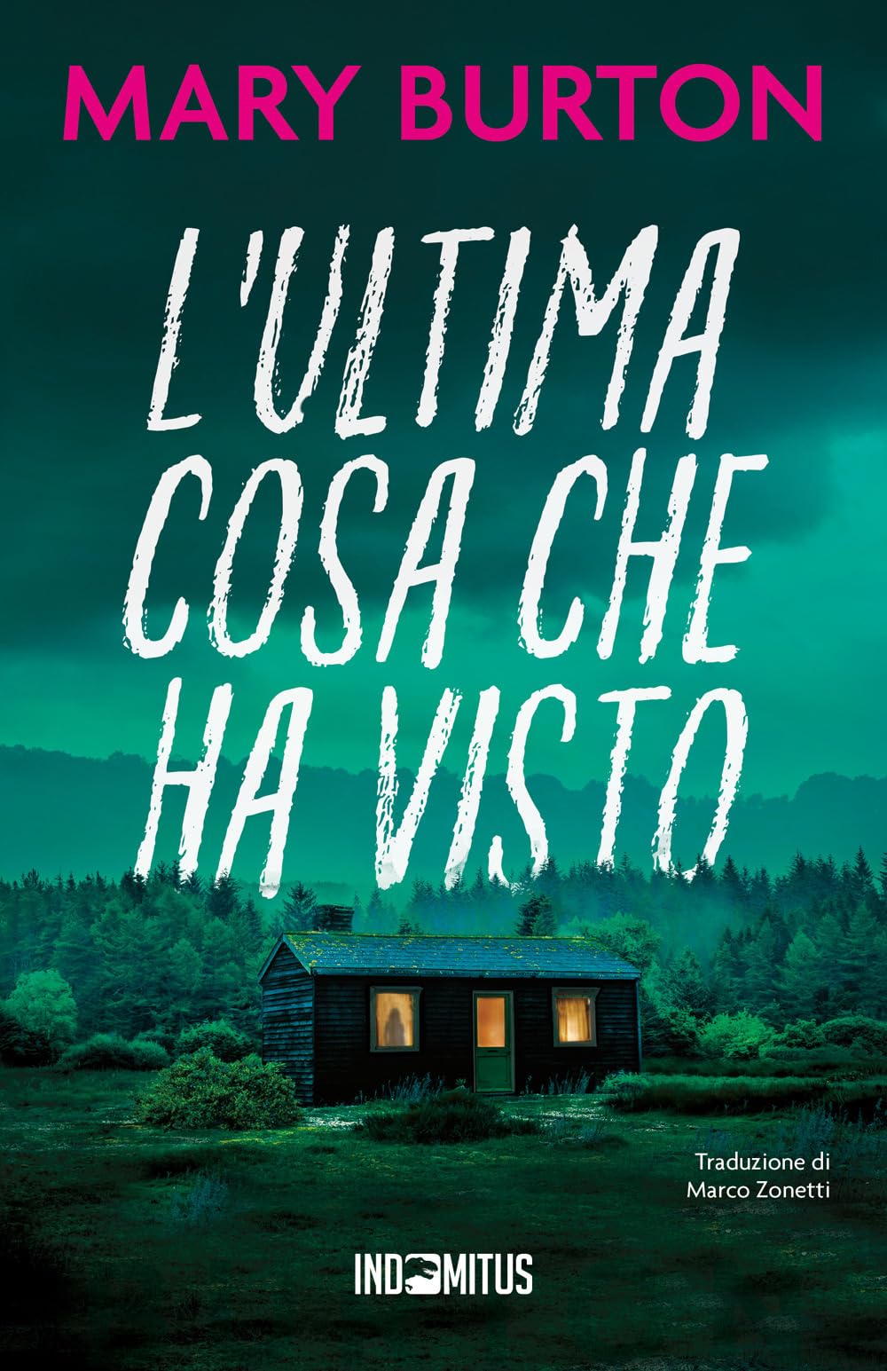 L'ultima cosa che ha visto