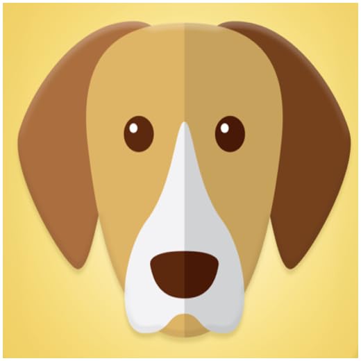 What Type Of Dog Are You?