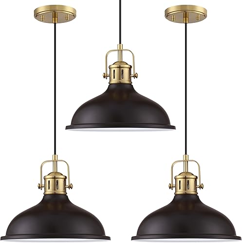 Miniatura 11 de Doraimi Lighting Lámpara colgante LED de 1 luz industrial vintage, lámparas de araña de metal con acabado negro de pintura, lámpara de techo para