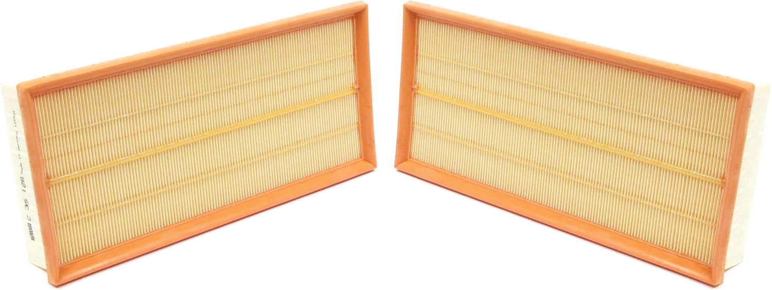 Atlantic British Ltd. Air Filters, Set of 2 LR011593 for Land Rover LR4, Range Rover Sport, Range Rover Full Size and Discovery 5