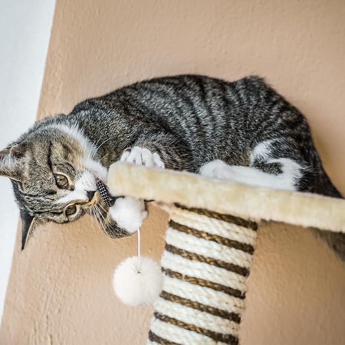 Simgoing 15 piezas bolas de repuesto para árbol de gatos miniatura 5