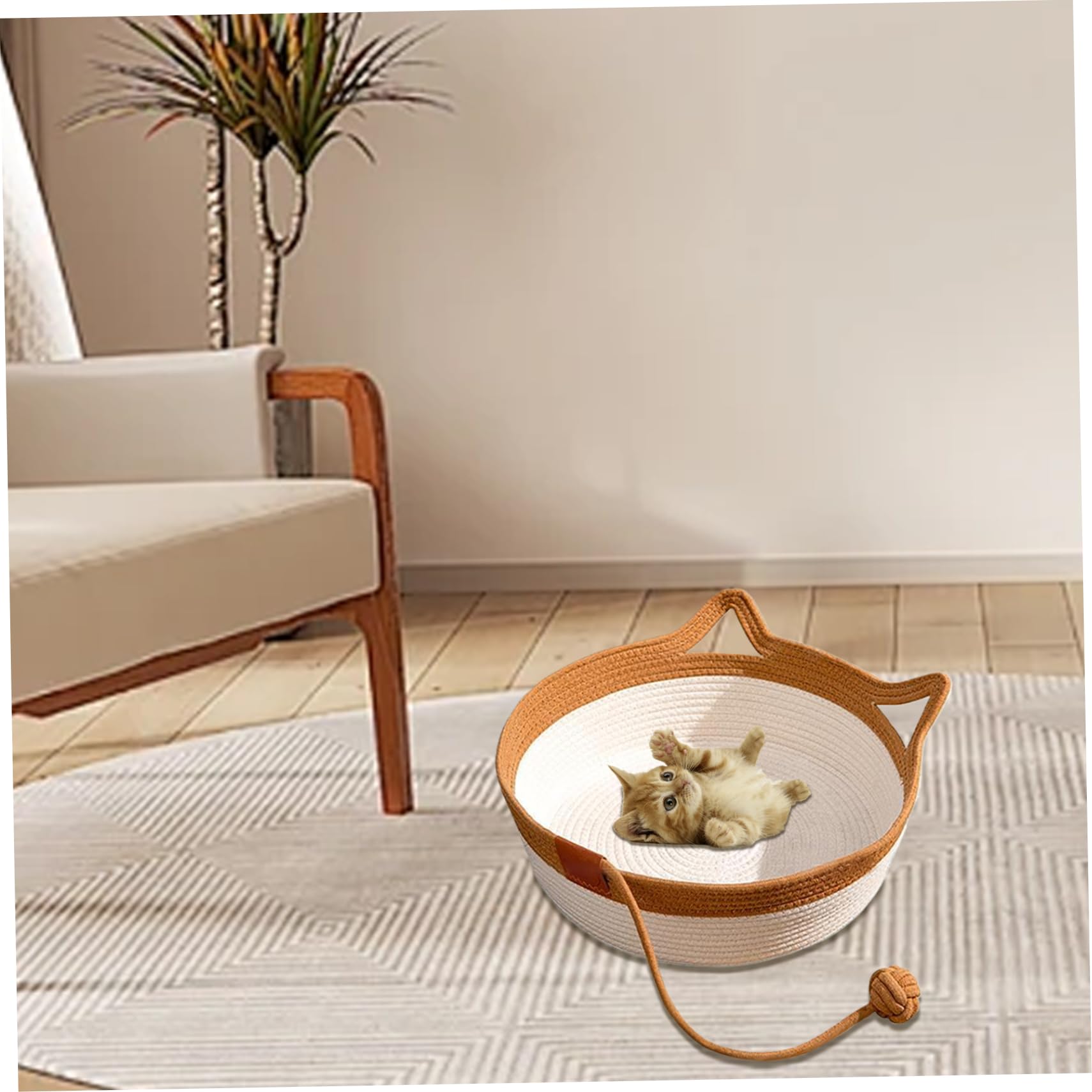 Letto Cesto Per Gatti In Cotone Intrecciato - Pieghevole Con Giocattolo A Coda Per Giochi Interattivi (Taglia M) - Foto 6