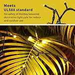XTF2015 105ft 300 LED Christmas String Lights, End to End Plug 8 Modes Christmas Lights UL Certified Outdoor Indoor Fairy Light Tree, Patio, Garden, Party, Wedding, Holiday (Warm White)