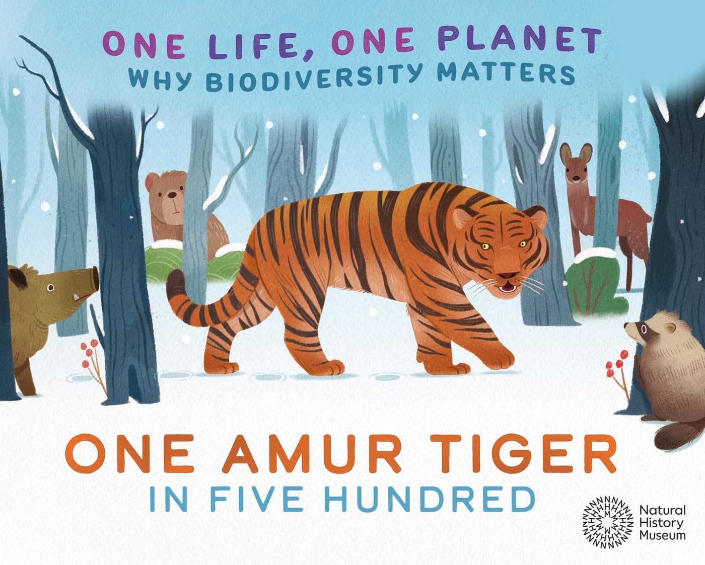 One Amur Tiger in Five Hundred: Why Biodiversity Matters (One Life, One Planet)