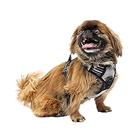 Ferplast Pettorina Cane Taglia Piccola, 2 Ganci per Massimo Controllo