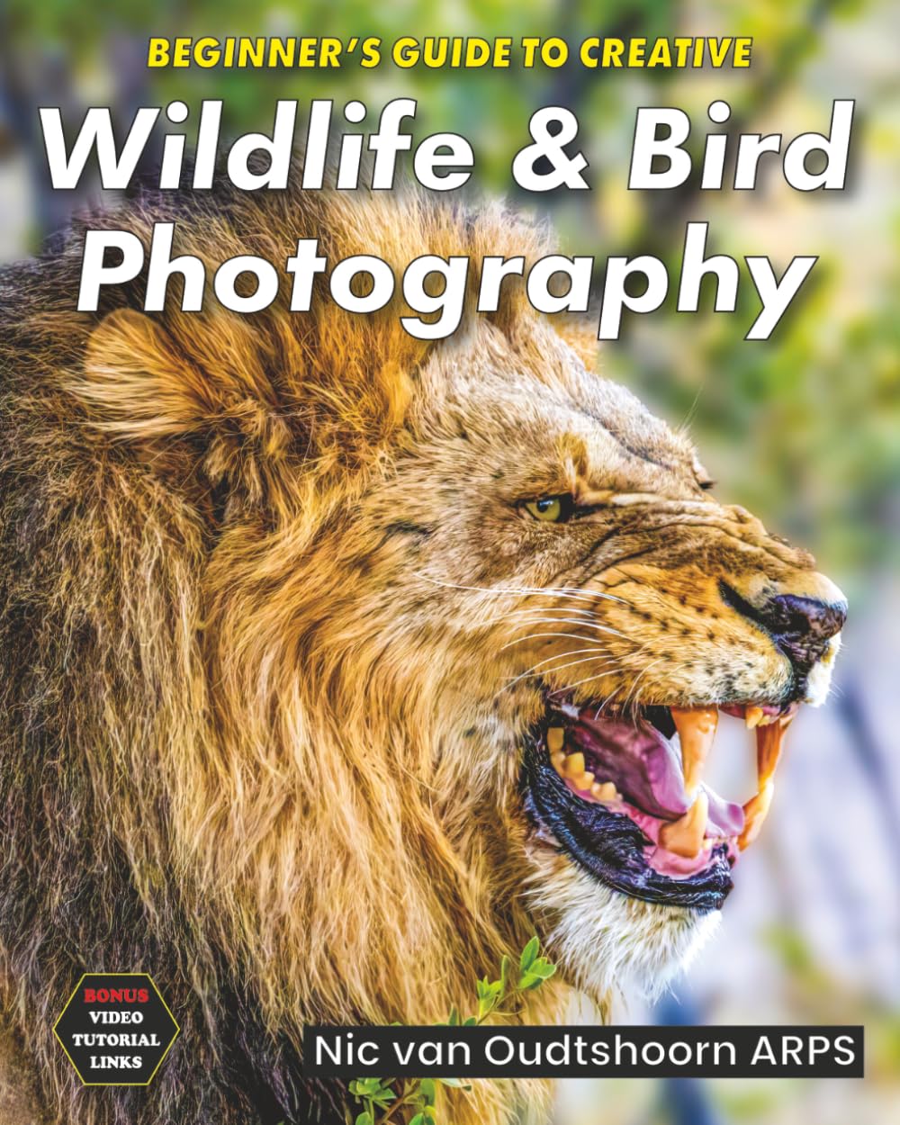 Beginner's Guide to Creative Wildlife & Bird Photography