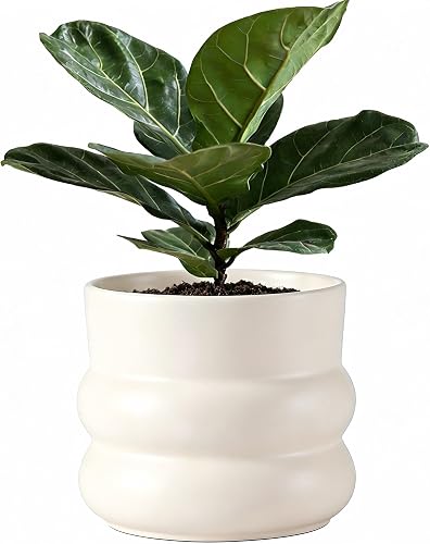 Ceramic Plant Pot,6 Inch Planters for Indoor Plants,Ceramic Planter Flower Pots with Drainage Hole,Home Office Garden Décor,(Pale Beige,Inner-pots not Larger Than 5 Inch)