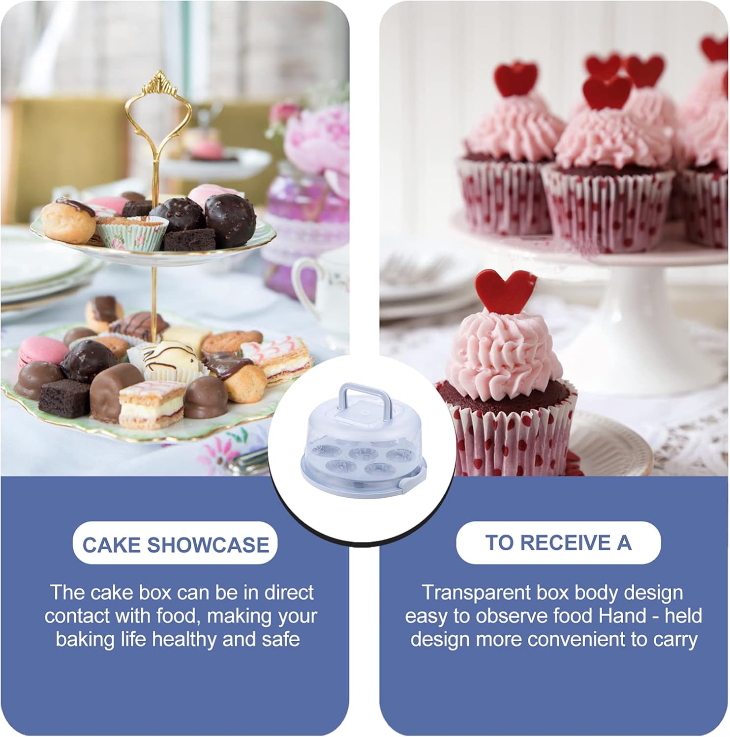 5 Off Cabilock ケーキキャリアホルダーとハンドルラッチパイセーバー容器透明ドームトレイ食品容器ケーキデザート食品 Gts Com Pe 5 Off Cabilock ケーキキャリアホルダーとハンドルラッチパイセーバー容器透明ドームトレイ食品容器ケーキデザート食品 Gts Com Pe