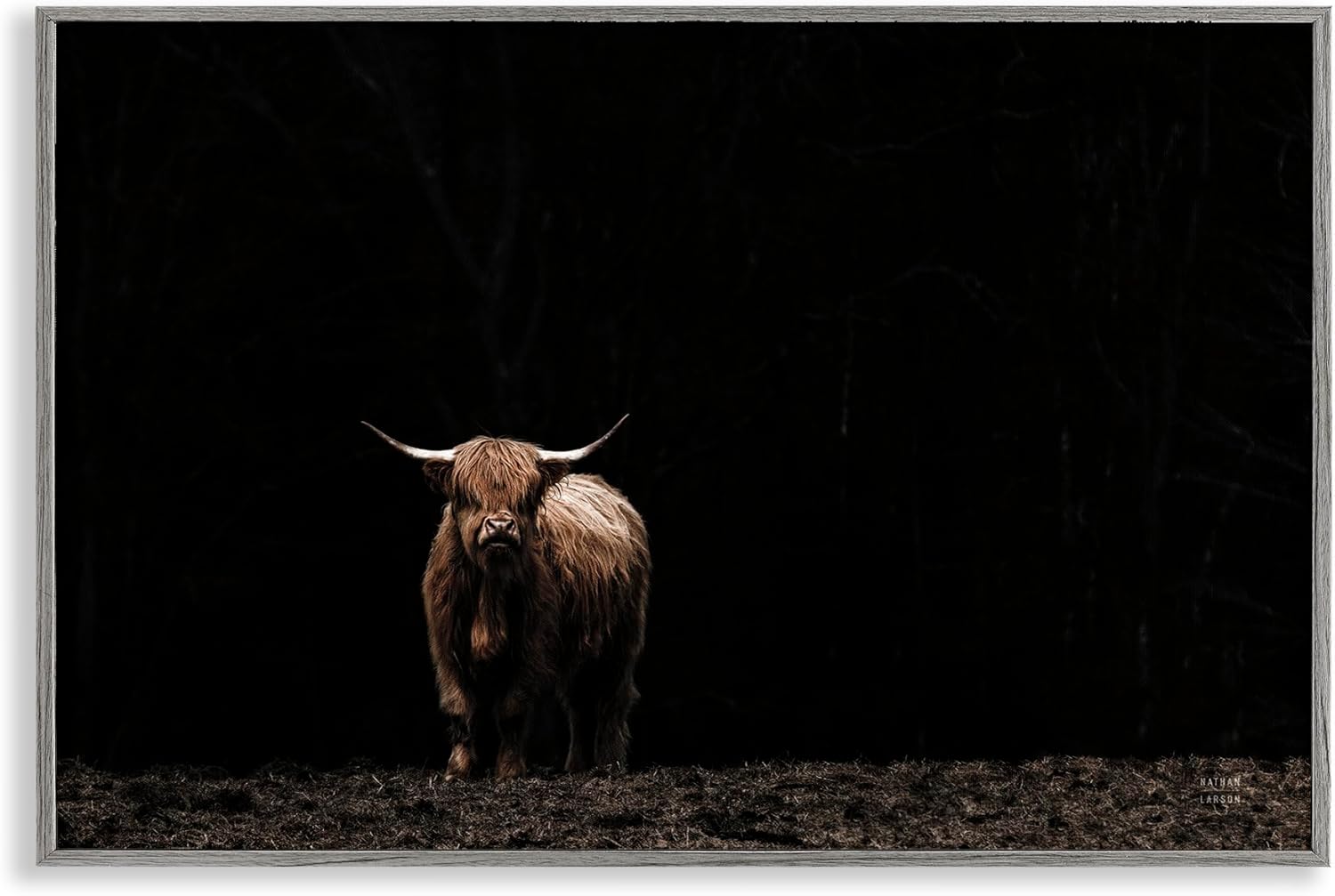 Stupell Industries Dark Contrast Highland Cow Gray Framed Giclee Wall Art Design by Nathan Larson, 24 x 16