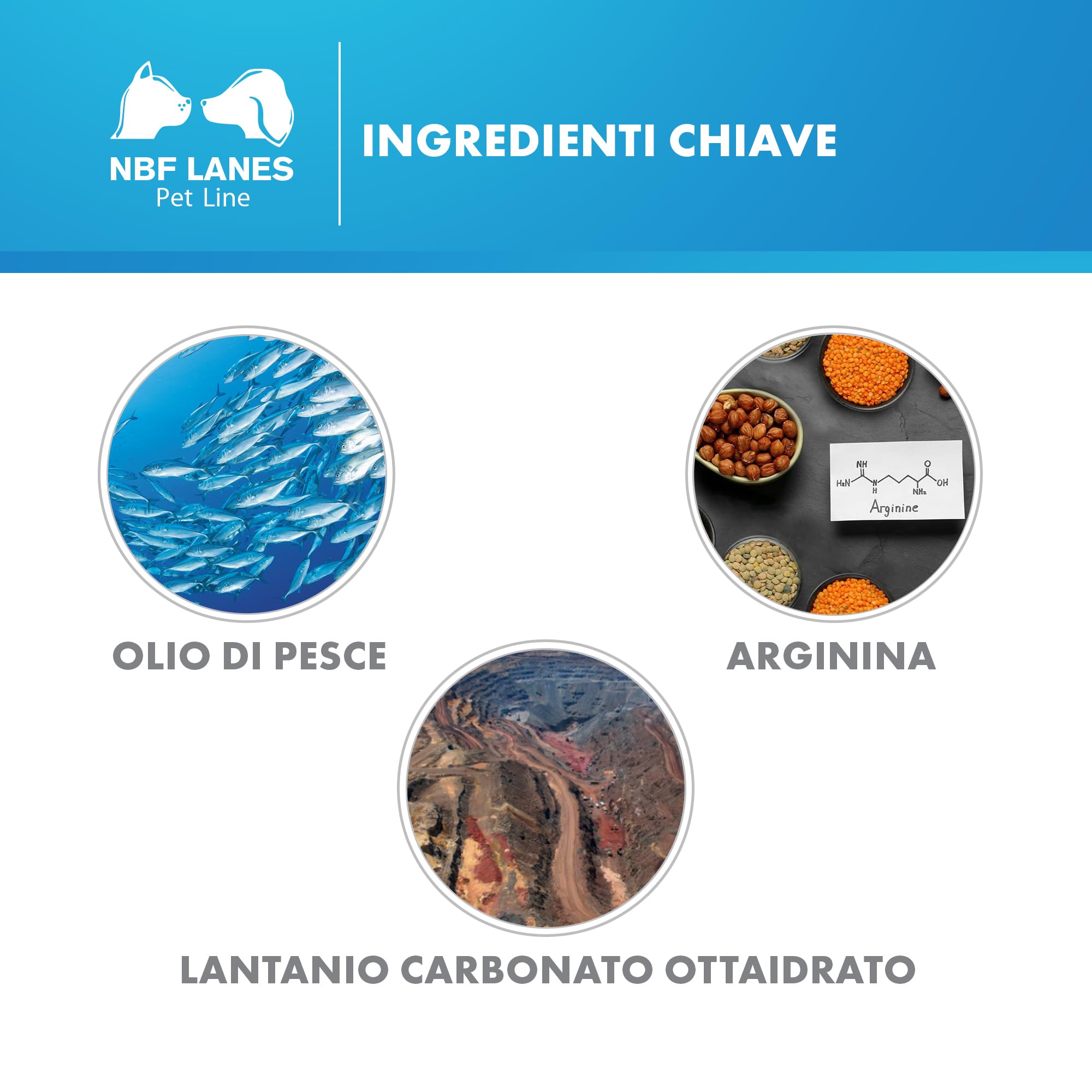 NBF Lanes | Nefrokrill Gatto, 30 Perle Softgel, Supporto alla Funzione Renale in Caso di Insufficienza Renale Cronica, per Gatti Adulti e Senior