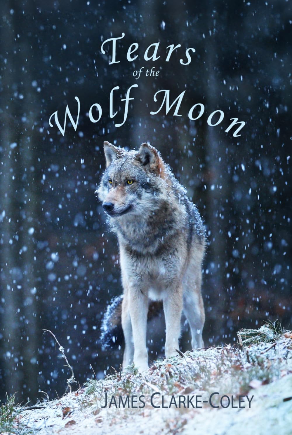 Tears of the Wolf Moon: Wildlife Poems
