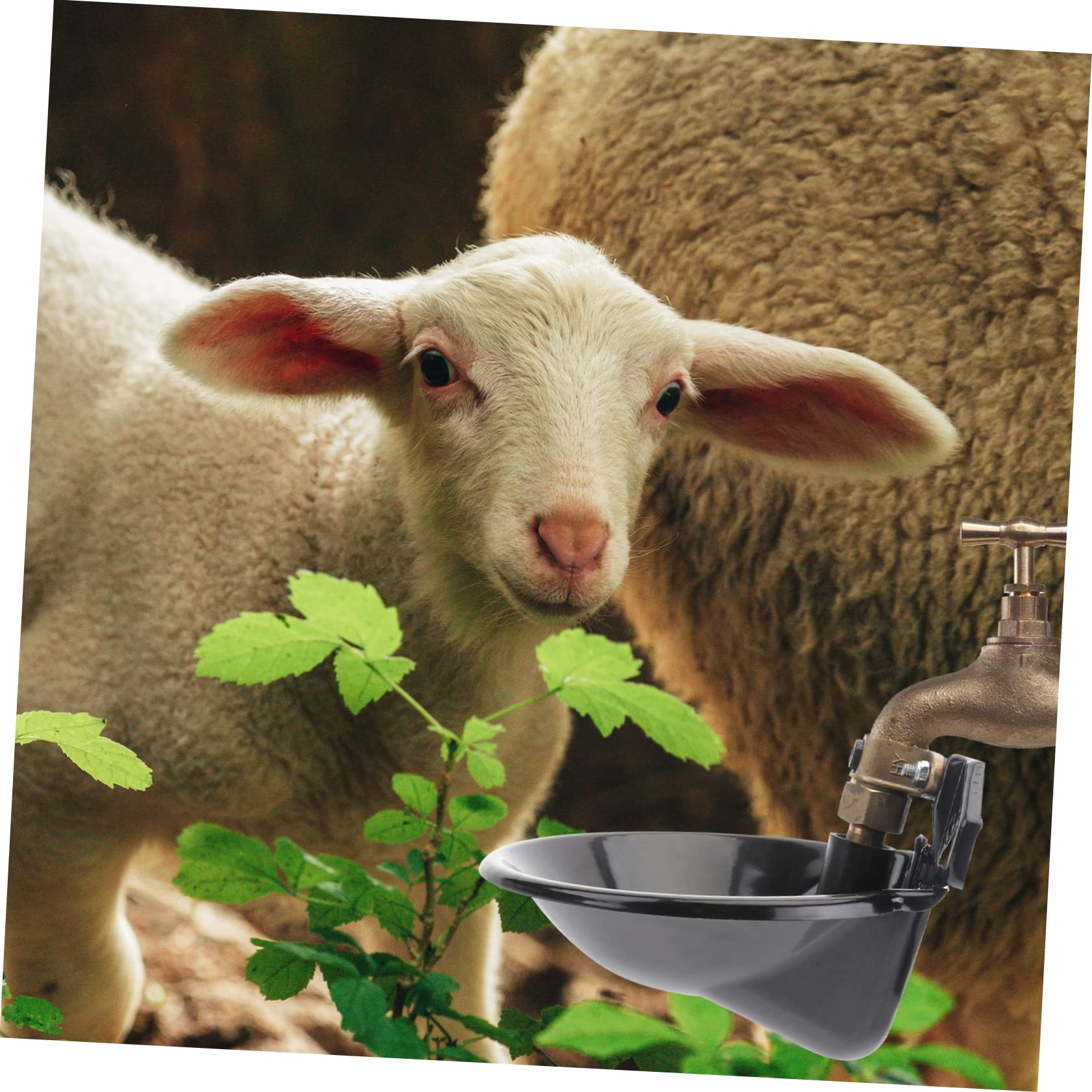 Abbeveratoio Automatico per Pecore e Cani, Nero, Ferro Rame | Livello Dell’acqua Stabile, Antiruggine, Uso in Allevamento, Ciotola per Alimentazione Manuale