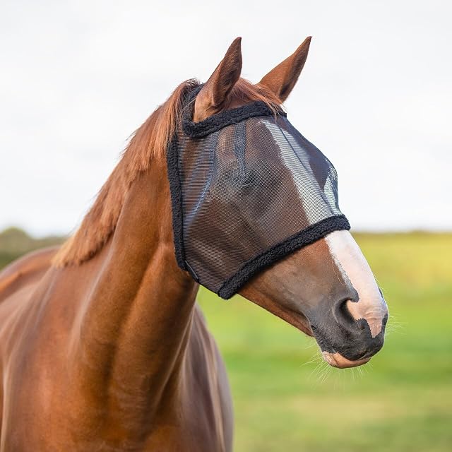 QHP - Mosquitera sin orejas (para caballo), color negro, negro, extra-large