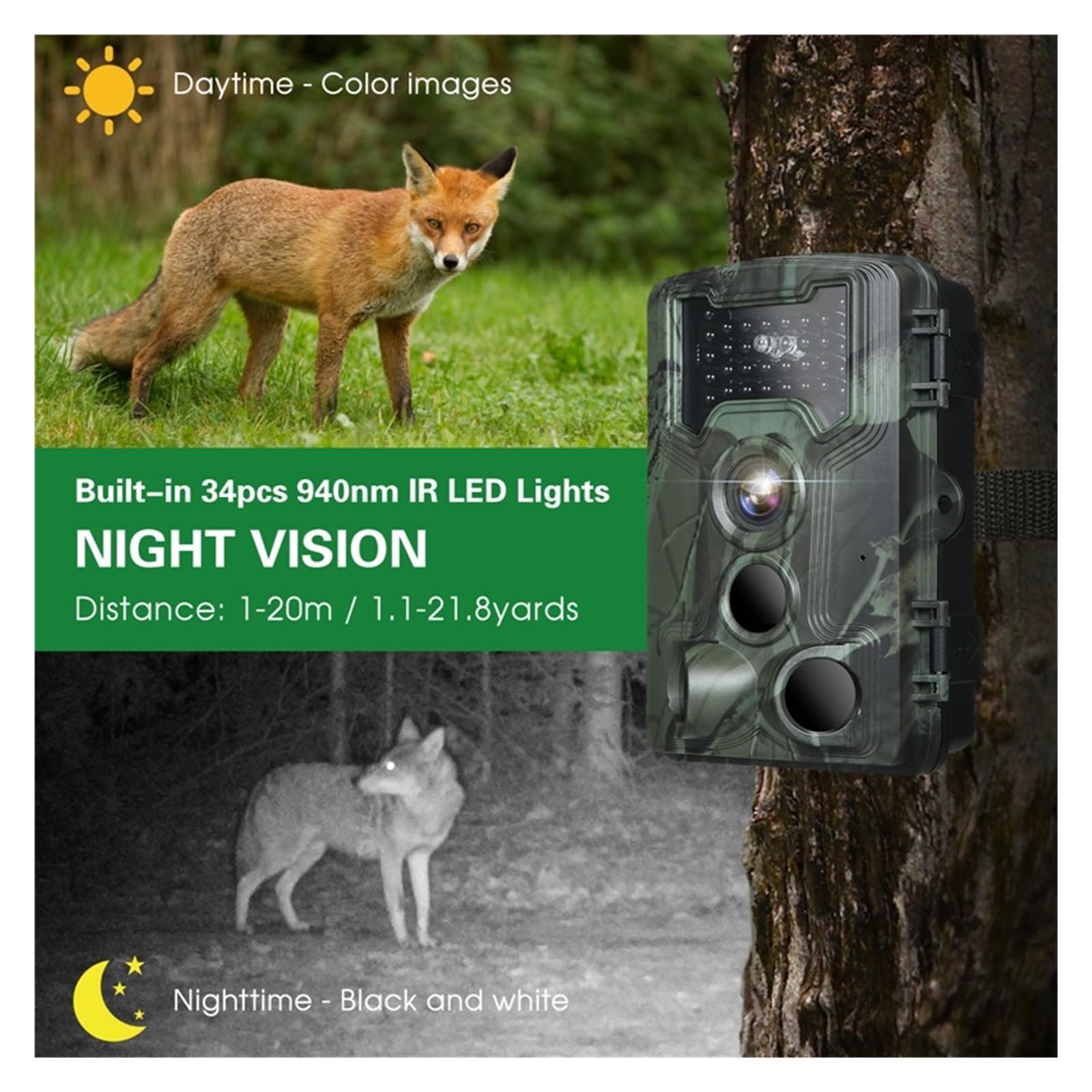 Cámara Vida Silvestre Cámara de senderos y Juegos con sensores visión Nocturna Caza infrarroja activada por Movimiento a Prueba Agua Confiable Preciso(Only Camera)