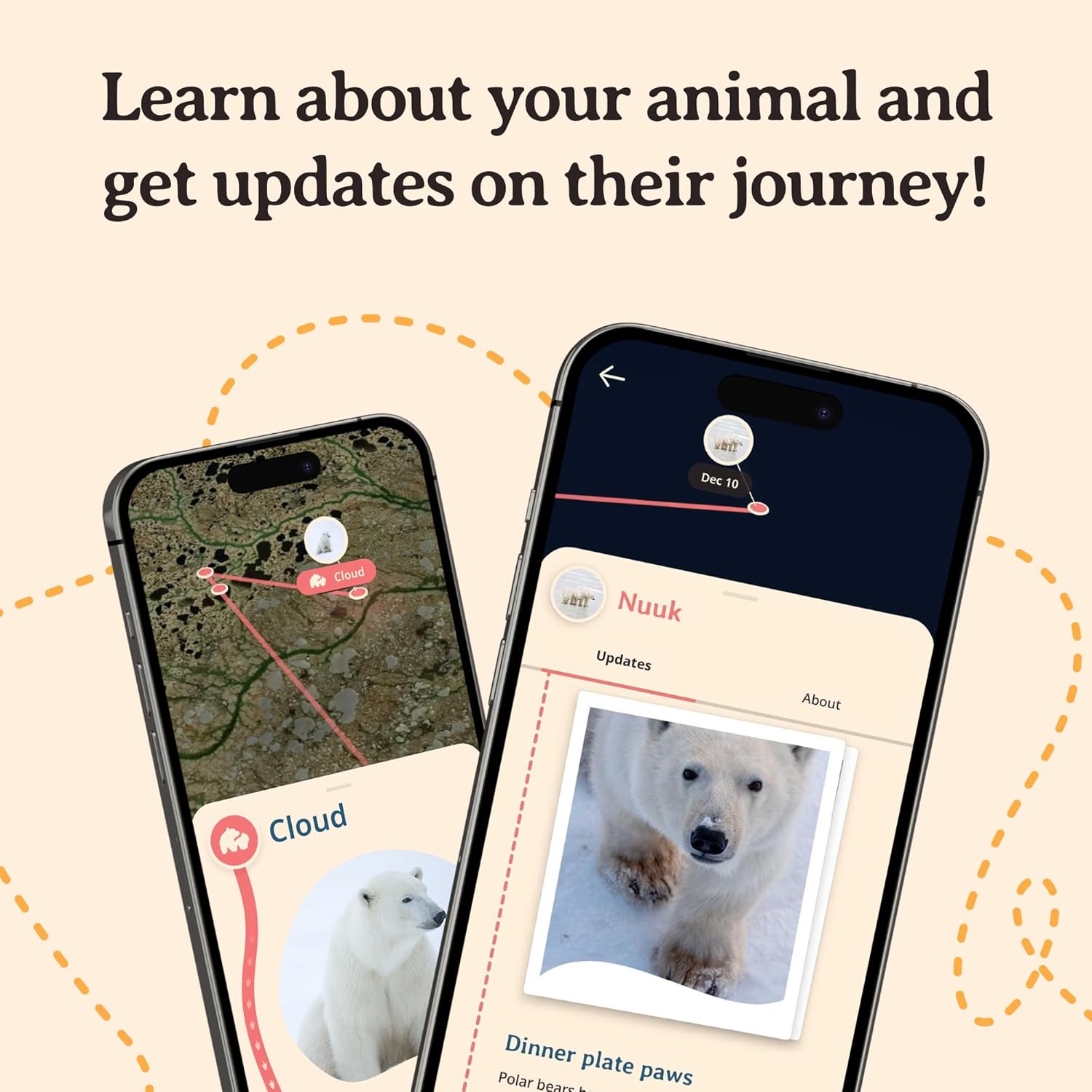 Fahlo Polar Bear Tracking Bracelet – Track a Real Polar Bear’s Journey – Supports Wildlife Conservation – Elastic, One Size Fits Most – on Interactive Mobile App Map – Unisex Conservation Gift - Image 5