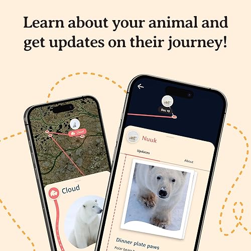 Miniatura 5 de Fahlo Pulsera de seguimiento de oso polar Rastrea el viaje de un oso polar real Apoya la conservación de la vida silvestre Elástica, talla única