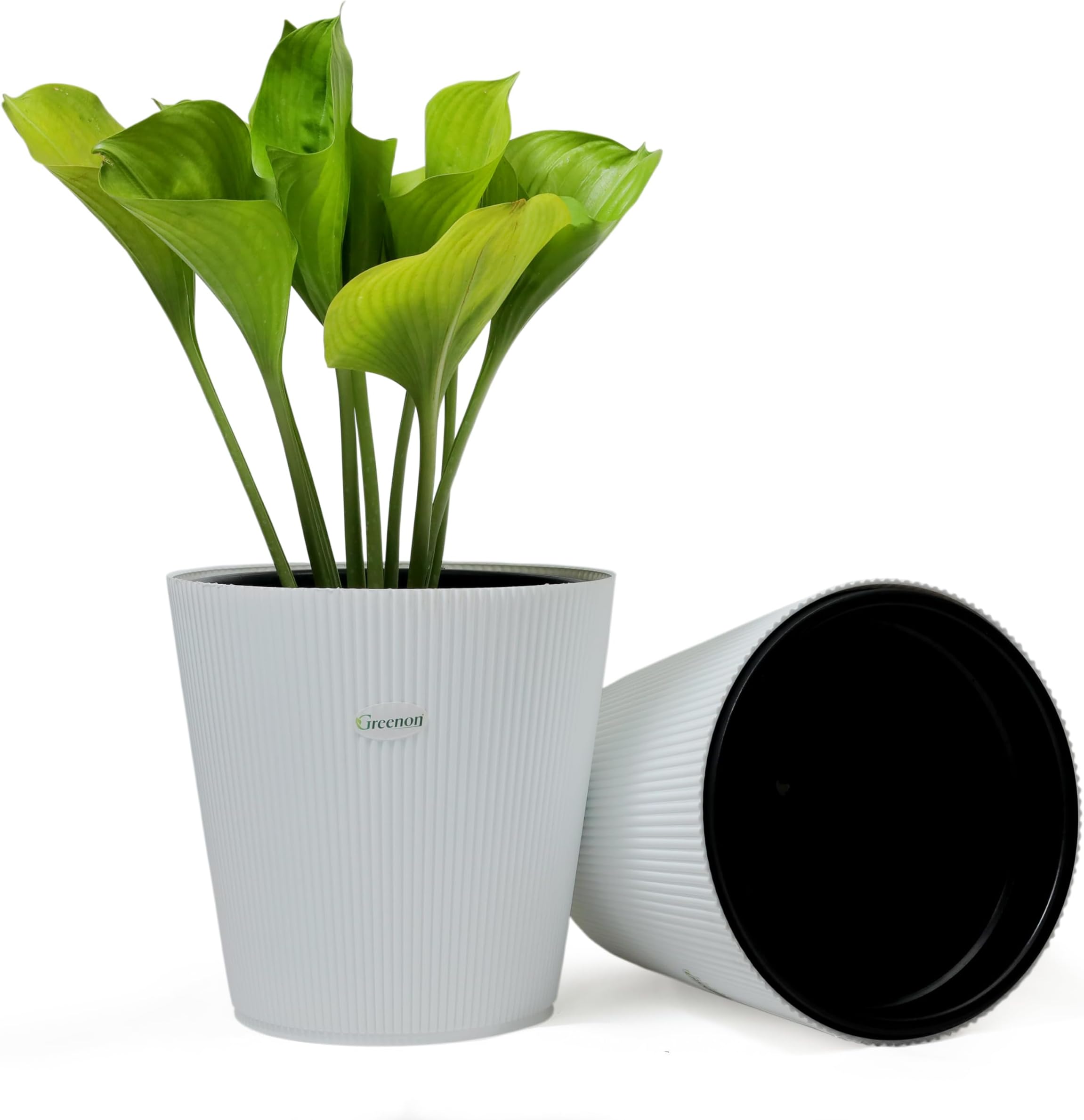 GREENON® 10 Inch Self Watering Plant Pot Set of 2 (4 Pots) | White Outer & Black Inner Planters | Heavy Duty Virgin Plastic | UV Treated Gamla | Ideal for Indoor, Balcony & Home Garden