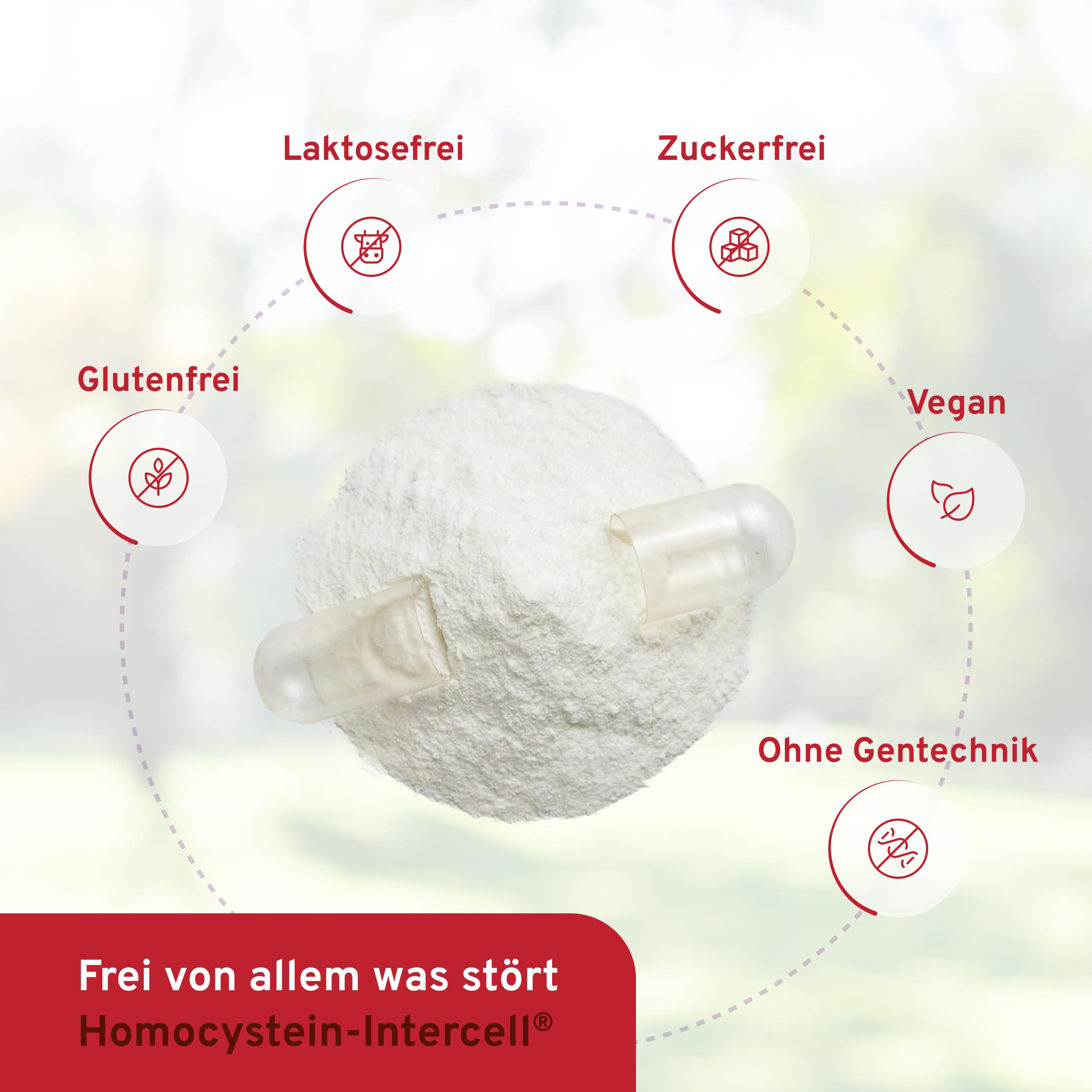 Homocystein-Intercell (90 Kapseln) - Vitamin B Komplex mit Betain & bioaktiver Folsäure (5-MTHF) - Hochdosiertes Vitamin B12, B6 & B2 für den Homocysteinstoffwechsel - Hohe Bioverfügbarkeit