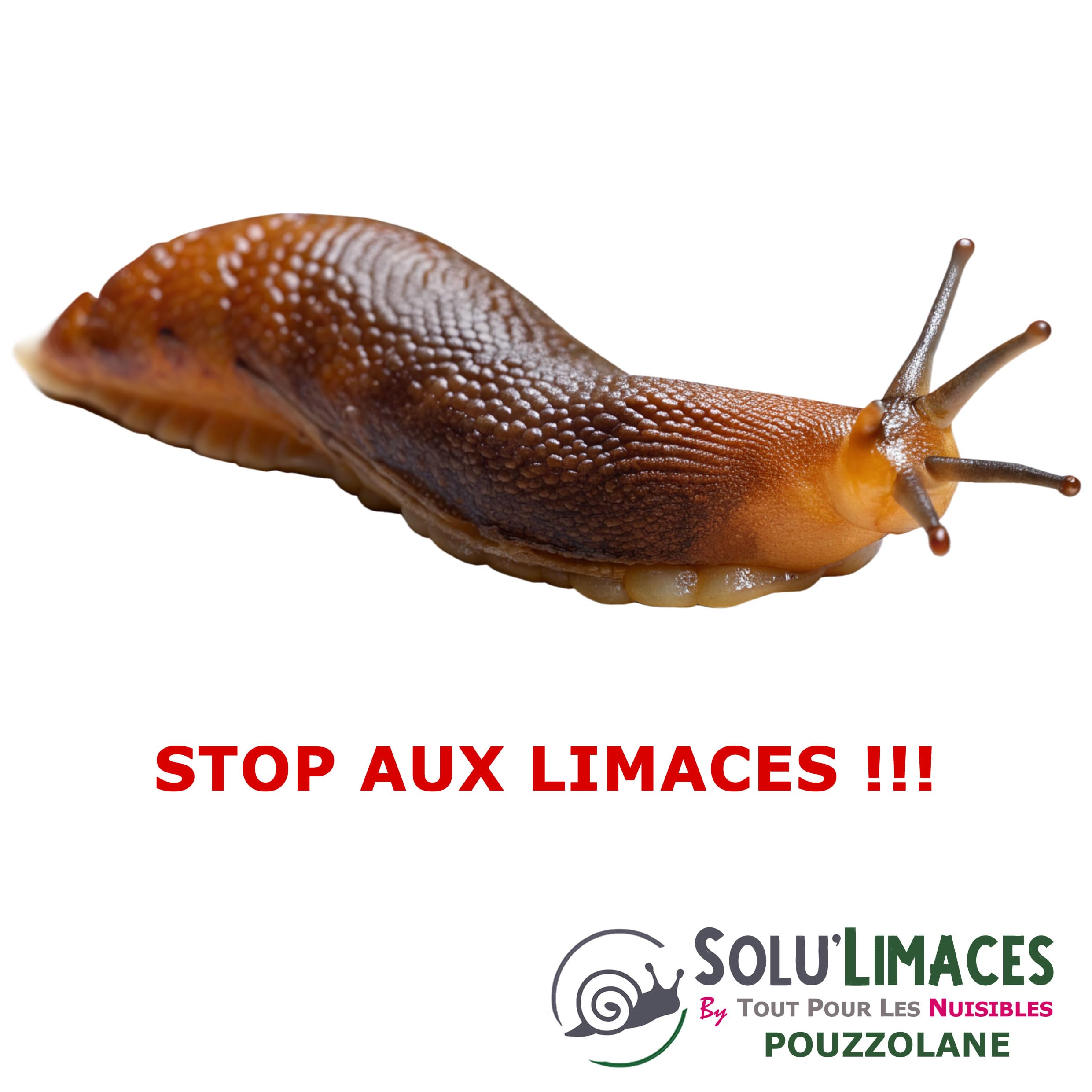 POUZZOLANE 5 kg - Barrière Anti Limaces, Escargots et autres gasteropodes - 100 % NATUREL ET ÉCOLOGIQUE- Produit Francais