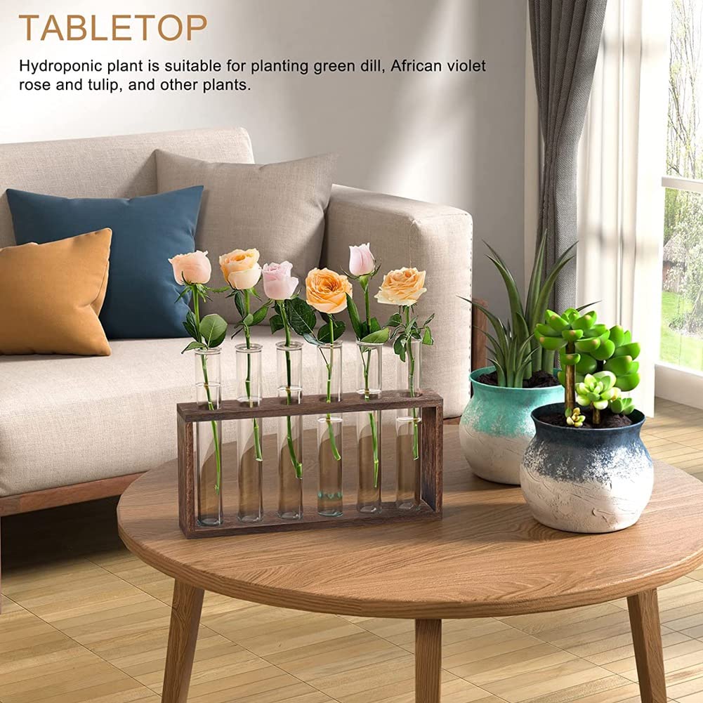 HUIKJI Terrario per piante in vetro con supporto in legno, set da 3, stazione di propagazione delle piante, vaso da scrivania, vaso idroponico in vetro, per casa, ufficio, giardino, decorazione per
