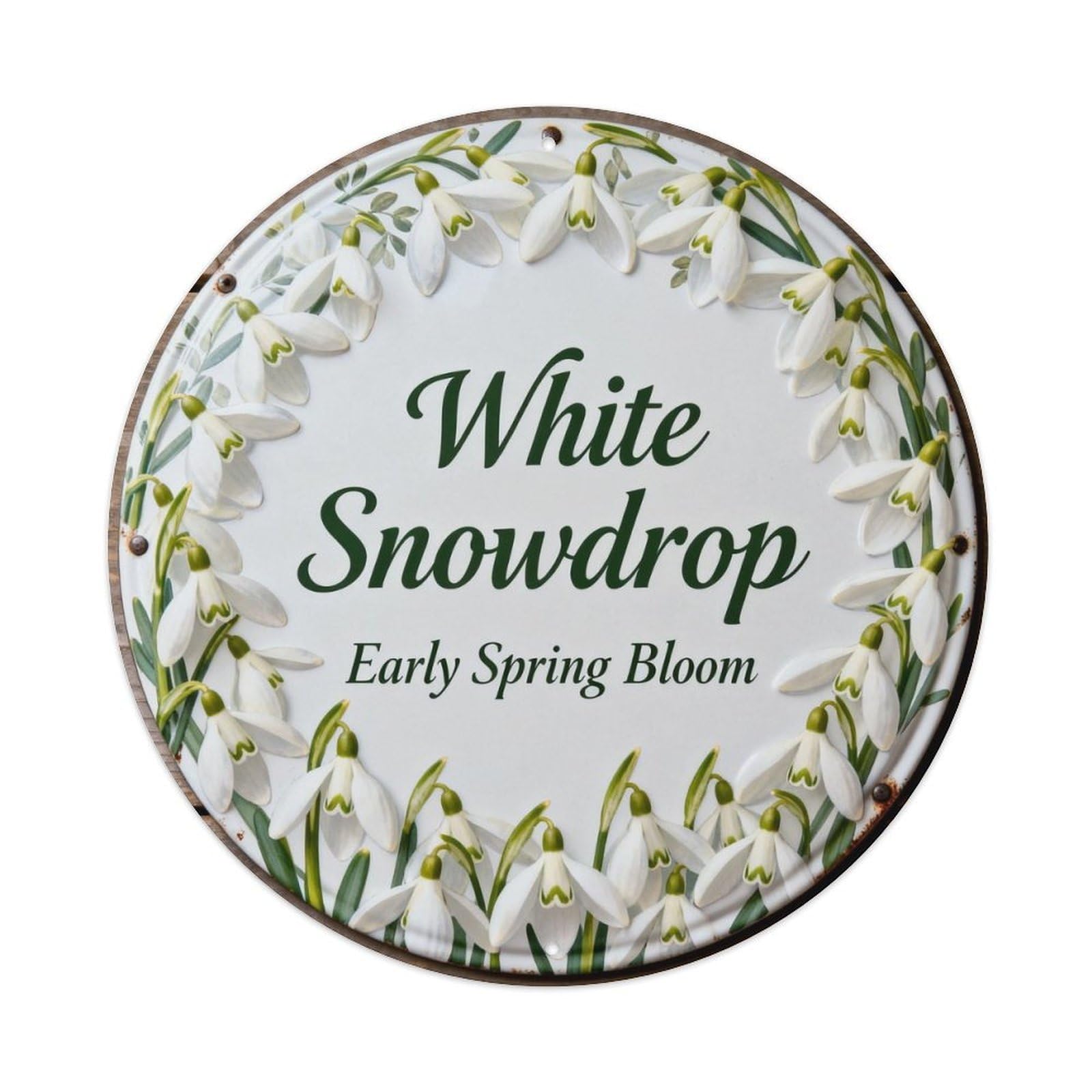 White Snowdrop Early Spring Bloom Metal Tin Sign Plaque