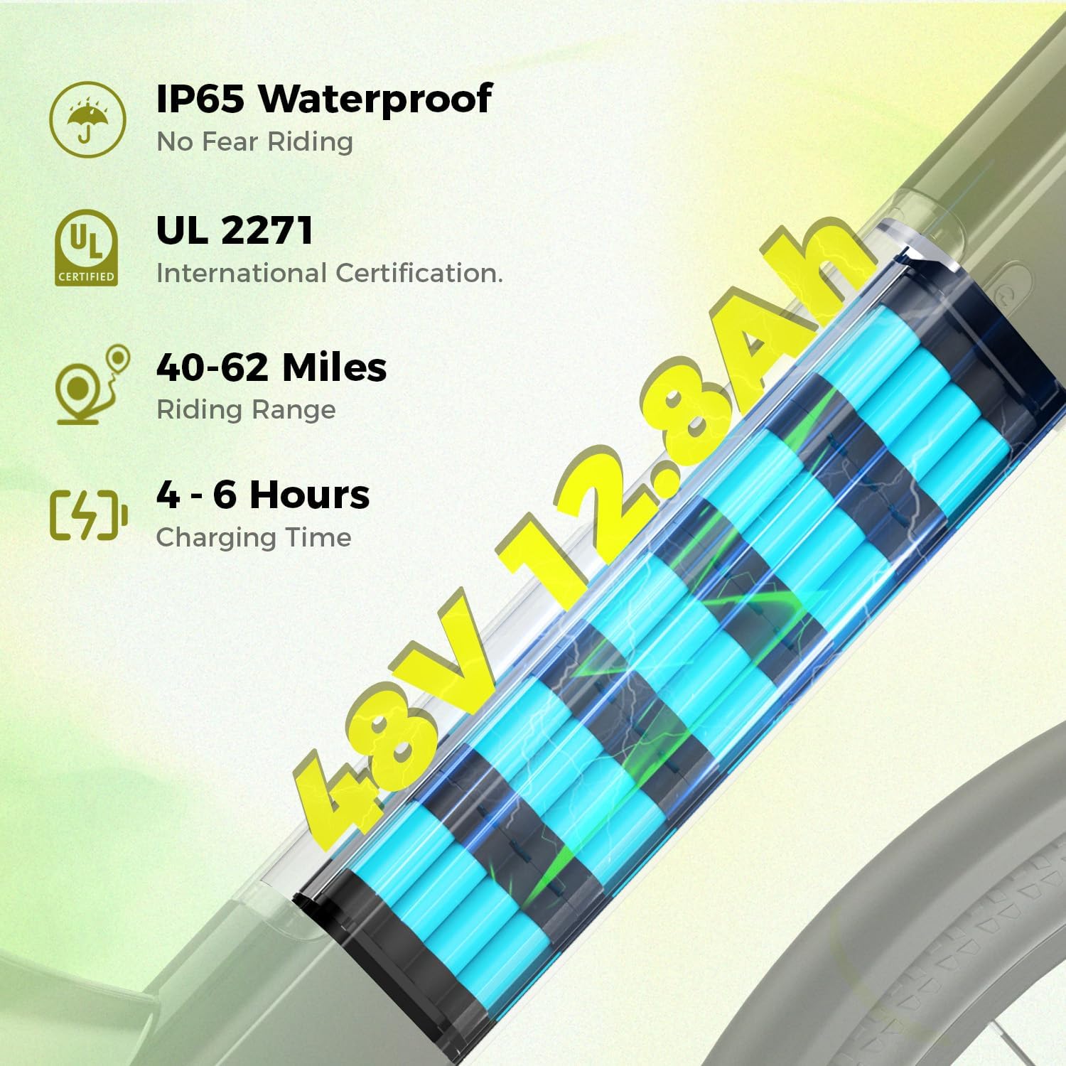 Diagram of the 48V 12.8AH removable battery