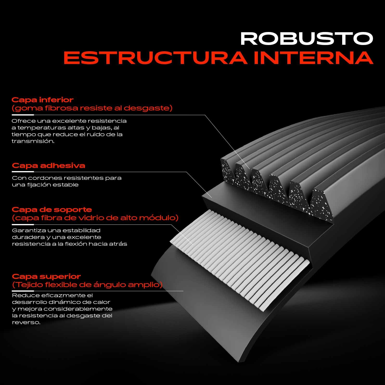 Frankberg Kit de correa de distribución correa de distribución bomba de | Compatible con: Clase B W245, Clase A W169