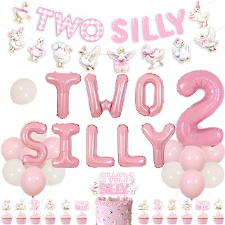 Two Silly Goose Birthday Decorations for Girls 2nd Birthday Party Supplies