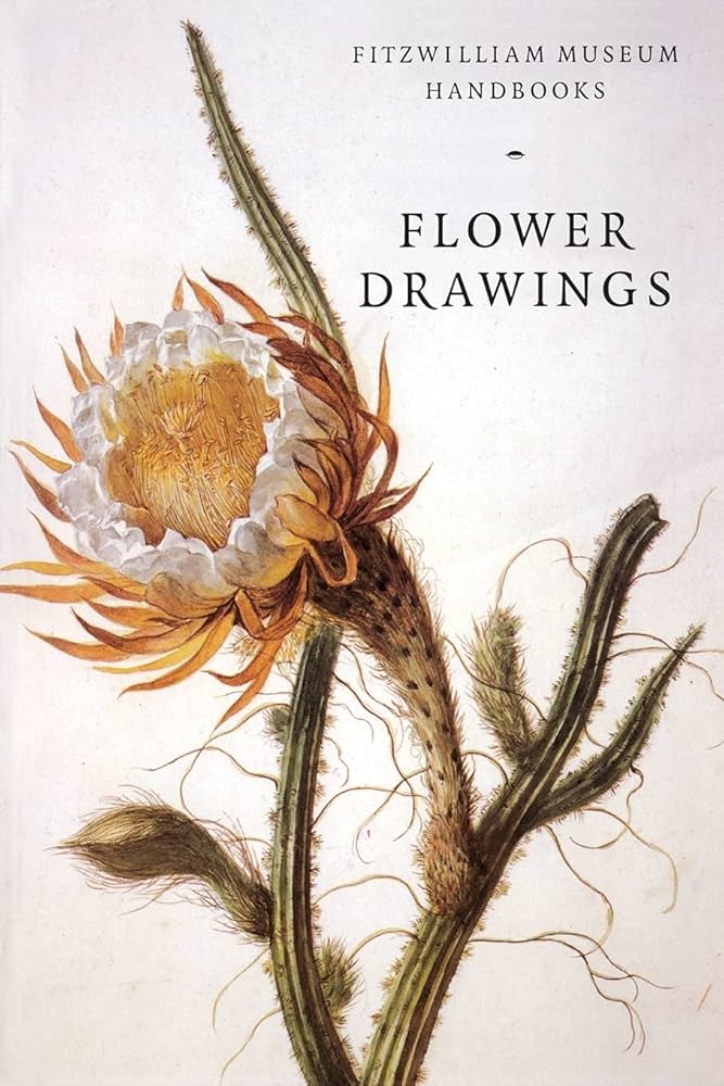Amazon.com: Flower Drawings (Fitzwilliam Museum Handbooks
