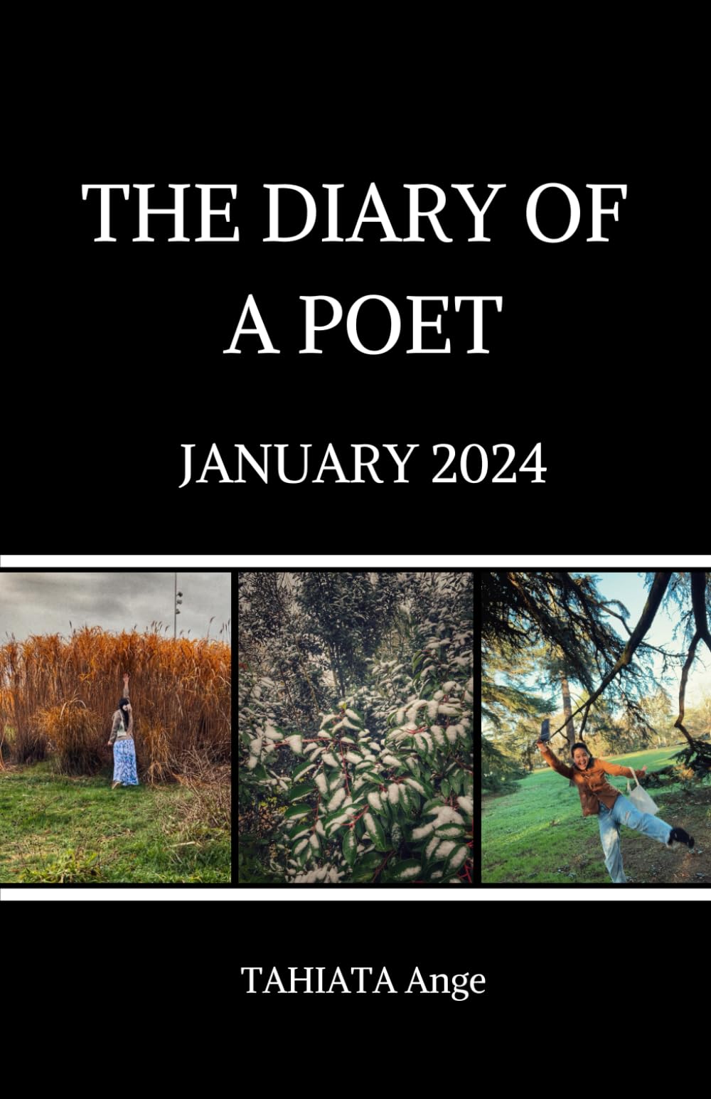 The Diary Of A Poet - January 2024