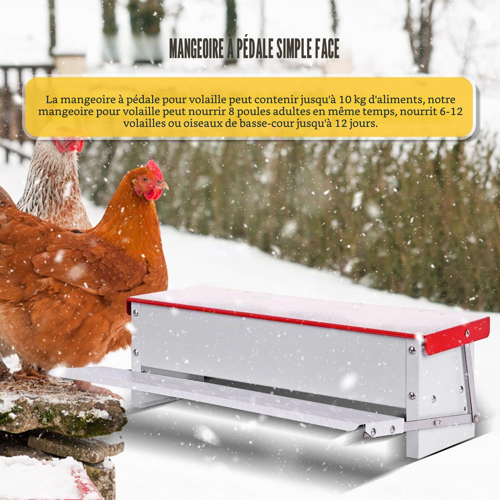 Mangeoire Poule Automatique,Mangeoire Galvanisée Pouvant Contenir 5 Kg de Nourriture,Distributeurs de Nourriture,Pour Poulets, Dindes, Oies et Canards