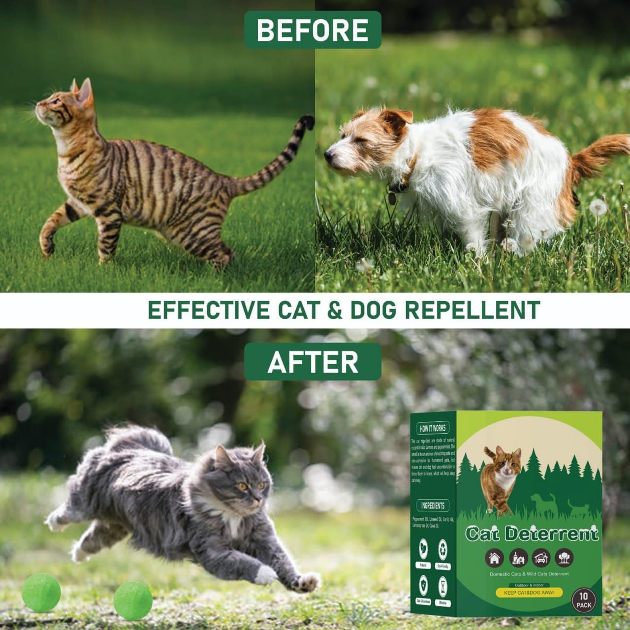 Wezone Cat & Dog Repellent for Home & Garden – Natural Peppermint Oil Pet Deterrent Spray to Stop Scratching, Chewing & Marking – Indoor & Outdoor Safe Solution for Pets & Family (Pack of 10) 2