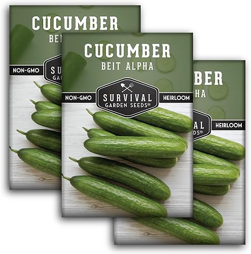 Survival Garden Seeds - Semilla de pepino alfa Beit para plantar - Paquete con instrucciones para plantar y cultivar pepinos verdes lisos sin