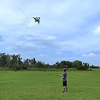 Vista 4 de Large Rainbow Delta Kite for Kids & Adults,Single Line Beach Kite for Kids Ages 4-8 & 8-12,Easy to Fly for Toddlers and Beginners