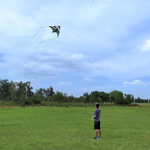 Vista 4 de Cometa Delta de playa grande para adultos y niños de 4 a 8 años y 8 a 12 años, extremadamente fácil de volar para principiantes (60 x 30 pulgadas)