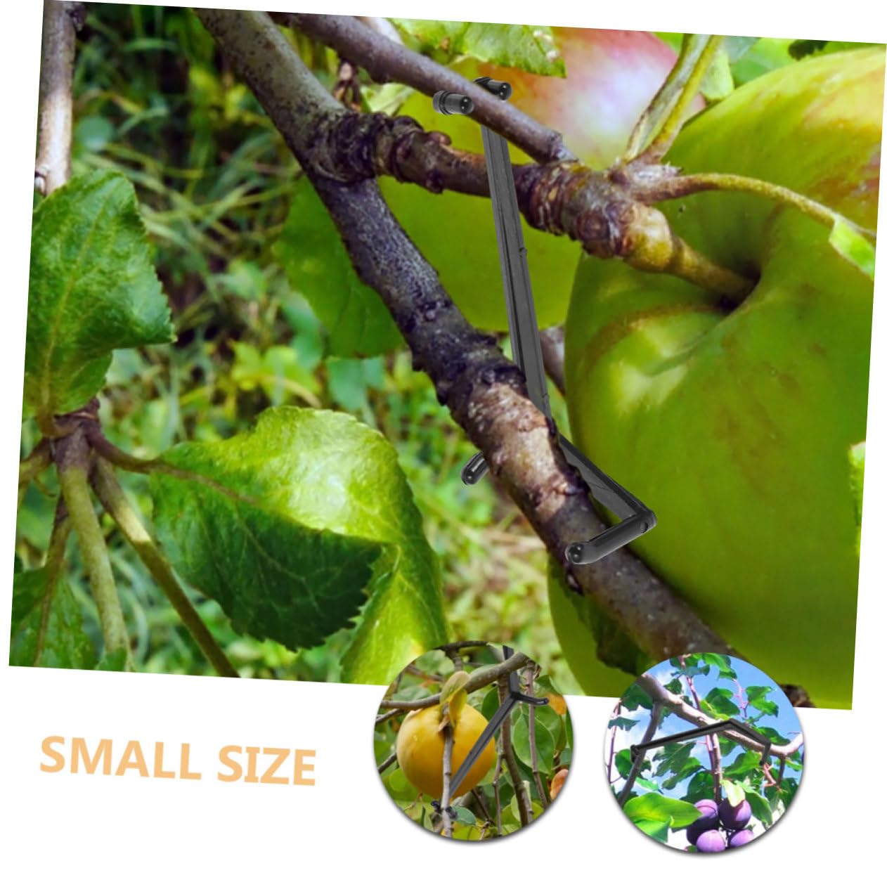 Toyvian 4 Sätze Pflanzenclips Verstellbare Zweigspreizer Für Obstbäume Langlebig Und Wiederverwendbar Zur Formgebung Und Wachstumsoptimierung Im Garten 30 Stück * 4